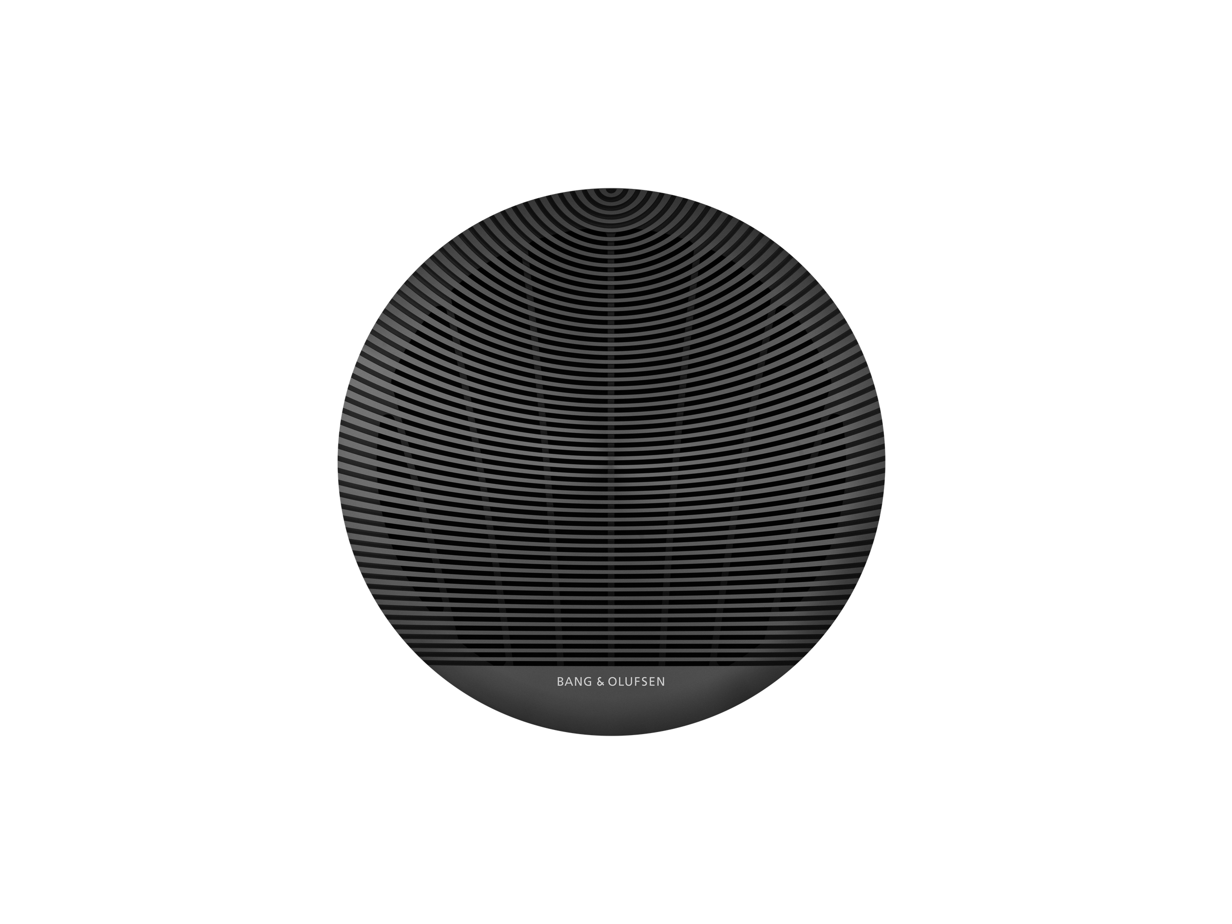 Celestial-rooster in Black Anthracite